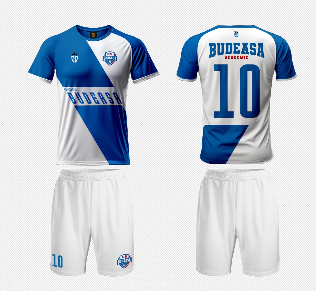 ACS Budeasa Academie